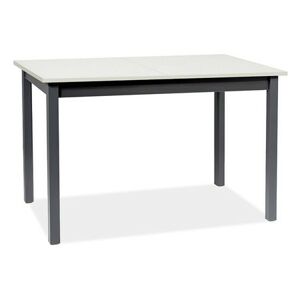 Rozkládací jídelní stůl HORACY  125x75 - bílá/černá