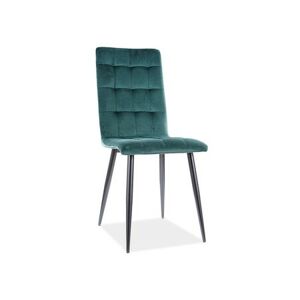 Židle OTTO - černá/zelená