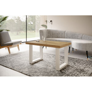 Konferenční stolek LOFT PROSTA 100x60 cm Bílá Dub craft