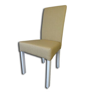 Jídelní židle ROMA 2 - bílá + tkanina 14