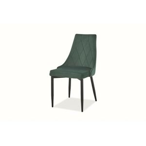 Jídelní židle TRIX - černá/zelená